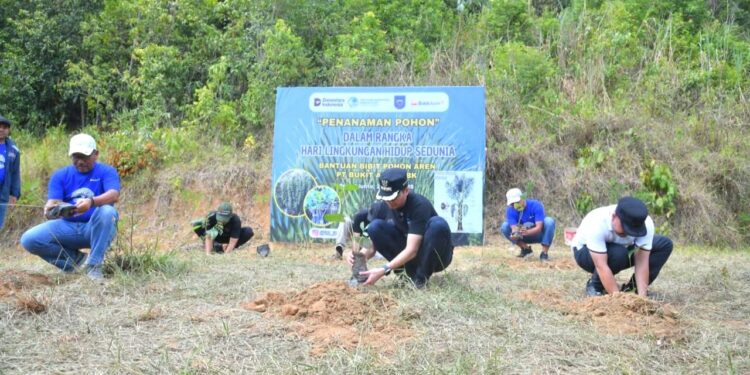 Pramuka Saka Kalpataru Ikuti Aksi Kali Bersih dan Tanam Bibit Hari Lingkungan Hidup se Dunia di Sawahlunto