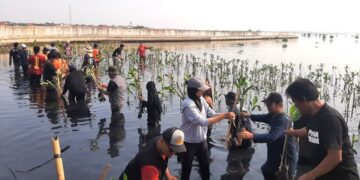 Peringati World Mangrove Day, Pramuka dan Komunitas Kota Pekalongan Gelar Aksi Tanam Mangrove di Degayu