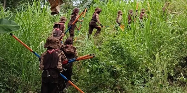 Mengukir Jejak Penjelajahan di Alam Patimpeng: Ajang Pembuktian Diri Pramuka Penggalang