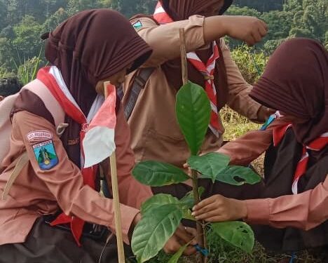 Gerakan Satu Pramuka Satu Pohon: Hijaukan Bumi, Lestarikan Alam