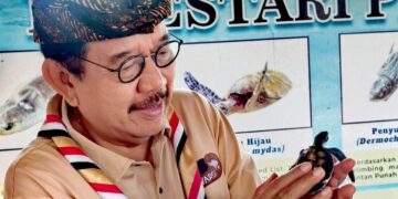 Kwarda Bali Lepasliarkan Tukik di Pantai Watu Klotok pada Peringatan Hari Pramuka ke-64