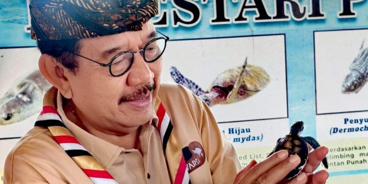 Kwarda Bali Lepasliarkan Tukik di Pantai Watu Klotok pada Peringatan Hari Pramuka ke-64