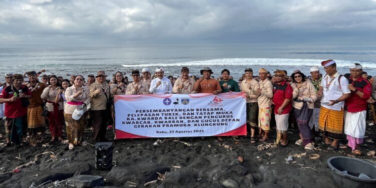 Kwarda Bali Lepasliarkan Tukik di Pantai Watu Klotok pada Peringatan Hari Pramuka ke-64