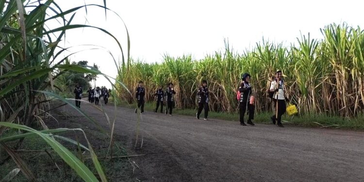 Puluhan Pramuka Penegak Patimpeng Berhasil Raih Brevet Wing Tapak Hitam