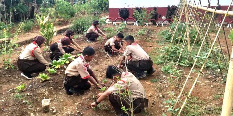Pemanfaatan Lahan Sekolah: Langkah Pramuka SD Inpres 3/77 Masago Bentuk Kesadaran Ekologi Generasi Muda.