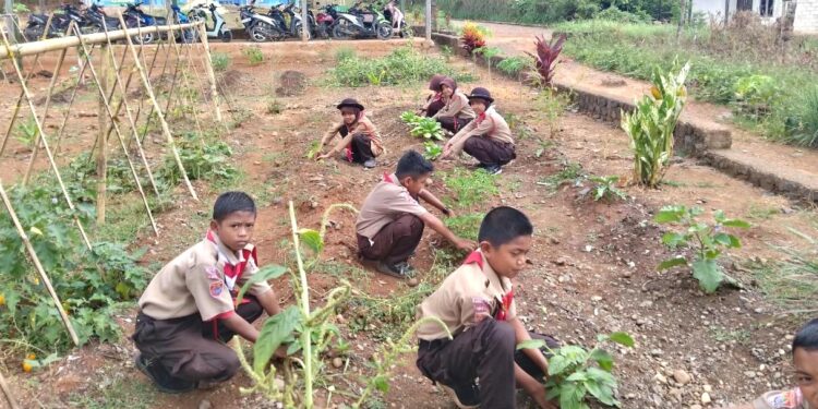 Pemanfaatan Lahan Sekolah: Langkah Pramuka SD Inpres 3/77 Masago Bentuk Kesadaran Ekologi Generasi Muda.