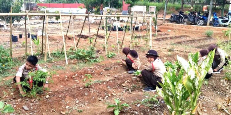 Pemanfaatan Lahan Sekolah: Langkah Pramuka SD Inpres 3/77 Masago Bentuk Kesadaran Ekologi Generasi Muda.