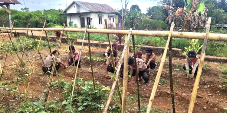 Pemanfaatan Lahan Sekolah: Langkah Pramuka SD Inpres 3/77 Masago Bentuk Kesadaran Ekologi Generasi Muda.