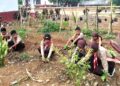 Pemanfaatan Lahan Sekolah: Langkah Pramuka SD Inpres 3/77 Masago Bentuk Kesadaran Ekologi Generasi Muda.