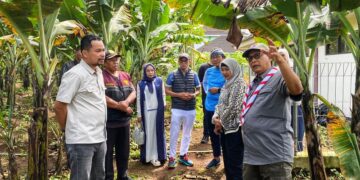 Ketua Kwarnas Kunjungi Desa Nanggran untuk Tinjau Pengembangan Budi Daya Pisang Barangan dan Edamame