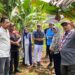 Ketua Kwarnas Kunjungi Desa Nanggran untuk Tinjau Pengembangan Budi Daya Pisang Barangan dan Edamame