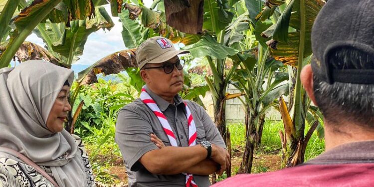 Ketua Kwarnas Kunjungi Desa Nanggran untuk Tinjau Pengembangan Budi Daya Pisang Barangan dan Edamame