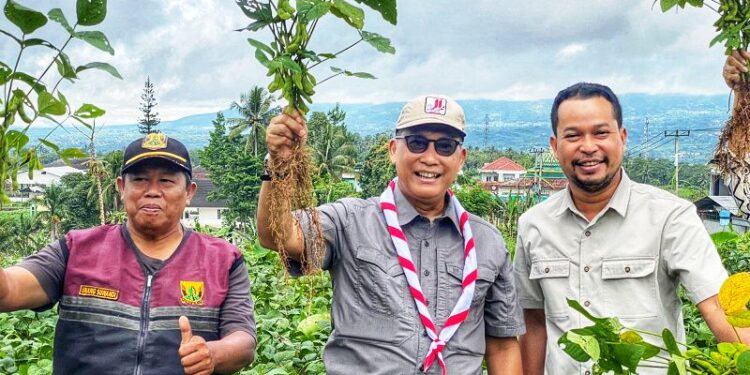 Ketua Kwarnas Kunjungi Desa Nanggran untuk Tinjau Pengembangan Budi Daya Pisang Barangan dan Edamame