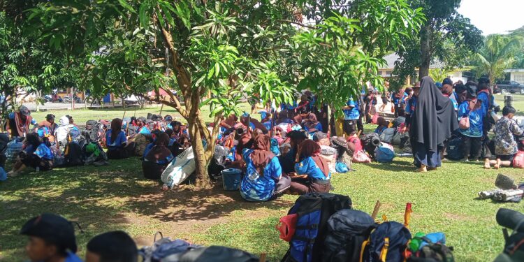 Jambore Cabang Deli Serdang 2025 Meriah, Peserta Nikmati Kegiatan Seru dan Penuh Kebersamaan