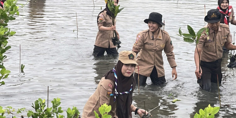 Saka Wanabakti Sumut Tanam Ratusan Mangrove Peringati Hari Menanam Pohon Indonesia