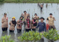 Saka Wanabakti Sumut Tanam Ratusan Mangrove Peringati Hari Menanam Pohon Indonesia