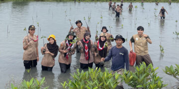 Saka Wanabakti Sumut Tanam Ratusan Mangrove Peringati Hari Menanam Pohon Indonesia