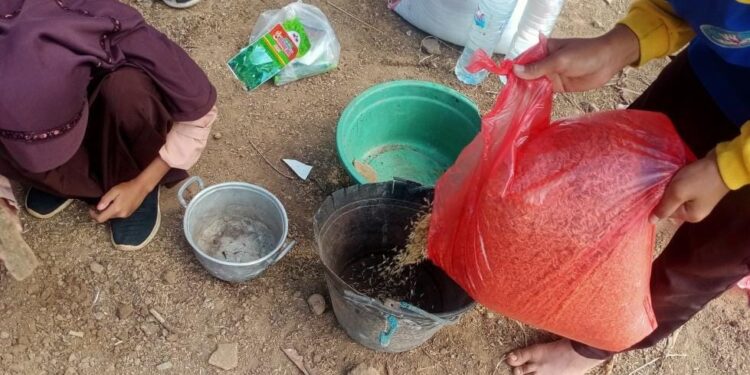 Pramuka Bukan Sekadar Tepuk Tangan, tapi Keterampilan Tangan: Saka Tarunabumi Patimpeng Ajarkan Bokashi, Tumbuhkan Generasi Muda Pertanian