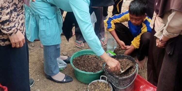 Pramuka Bukan Sekadar Tepuk Tangan, tapi Keterampilan Tangan: Saka Tarunabumi Patimpeng Ajarkan Bokashi, Tumbuhkan Generasi Muda Pertanian