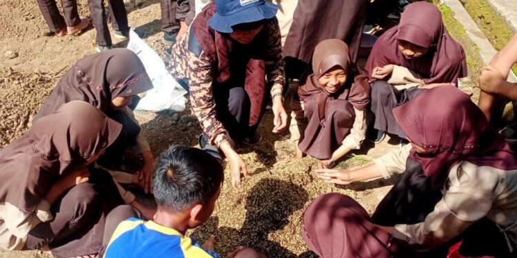 Pramuka Bukan Sekadar Tepuk Tangan, tapi Keterampilan Tangan: Saka Tarunabumi Patimpeng Ajarkan Bokashi, Tumbuhkan Generasi Muda Pertanian