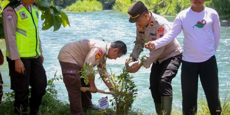 Saka Kalpataru Kebumen Tanam Puluhan Pohon Beringin di Pertikalpataru III Tahun 2025