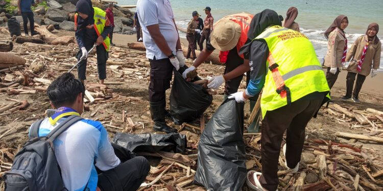 Ratusan Pramuka Bantu Tangani Kiriman Kayu Pasca Banjir Di Pantai Pasie Nan Tigo
