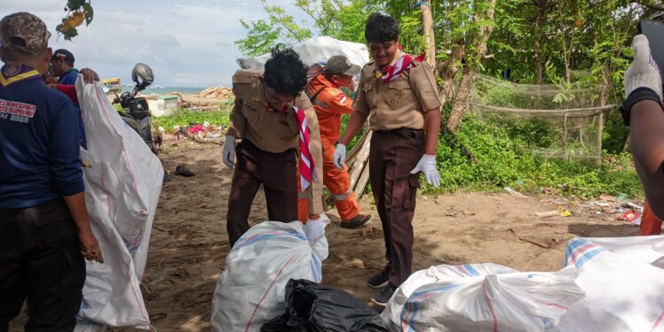 Ratusan Pramuka Bantu Tangani Kiriman Kayu Pasca Banjir Di Pantai Pasie Nan Tigo