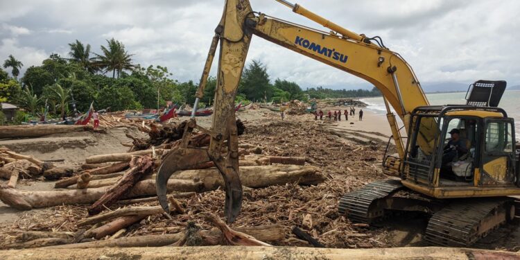 Ratusan Pramuka Bantu Tangani Kiriman Kayu Pasca Banjir Di Pantai Pasie Nan Tigo