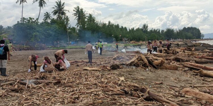 Ratusan Pramuka Bantu Tangani Kiriman Kayu Pasca Banjir Di Pantai Pasie Nan Tigo