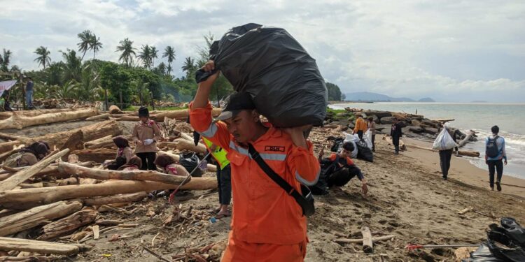 Ratusan Pramuka Bantu Tangani Kiriman Kayu Pasca Banjir Di Pantai Pasie Nan Tigo