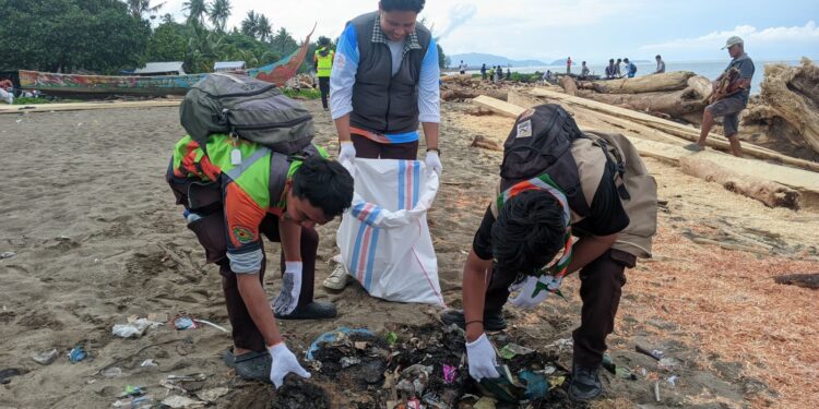 Ratusan Pramuka Bantu Tangani Kiriman Kayu Pasca Banjir Di Pantai Pasie Nan Tigo