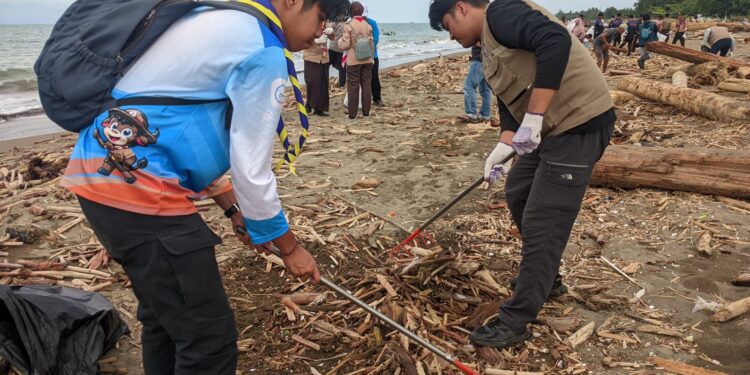 Ratusan Pramuka Bantu Tangani Kiriman Kayu Pasca Banjir Di Pantai Pasie Nan Tigo