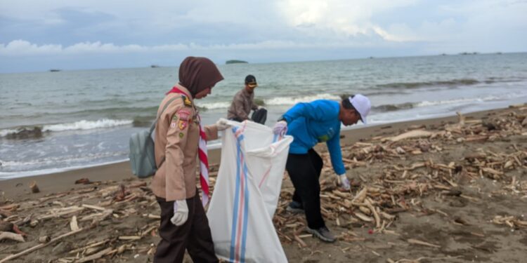 Ratusan Pramuka Bantu Tangani Kiriman Kayu Pasca Banjir Di Pantai Pasie Nan Tigo