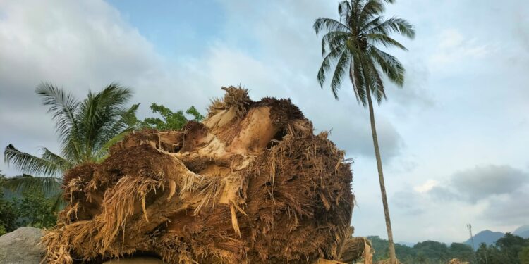 Pramuka Jateng Turun Langsung ke Sumbar, Salurkan Bantuan untuk Korban Bencana