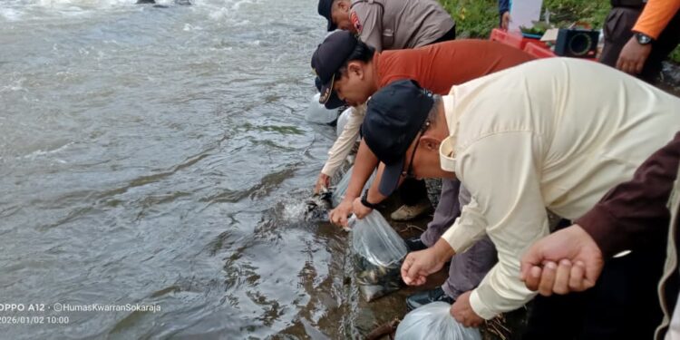Pramuka Sokaraja Laksanakan Tebar Benih Ikan di Sungai Berem Banjaranyar