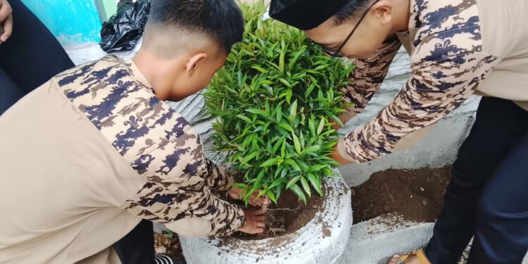 Giat Peduli Lingkungan, Pramuka MTsN 6 Tabalong Tanam Pohon di Madrasah 