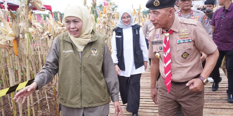 Khofifah Puji HM Arum Sabil: Kwarda Jatim Konsisten Jalankan Pramuka Produktif