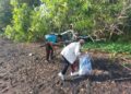 Ambalan Gajah Mada, Tungga Dewi SMK Negeri 1 Abang Gelar Bersih Pantai dan Rekreasi di Amed