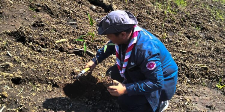 Dukung Kelestarian Lingkungan Pasca Banjir Bandang Gunung Malang, Kwarcab Purbalingga Terjunkan Personil Ikuti Penghijauan