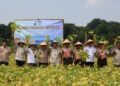 Panen Perdana Kedelai di Cibubur, Kwarnas Perkuat Dukungan Swasembada Pangan