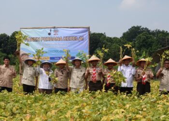 Panen Perdana Kedelai di Cibubur, Kwarnas Perkuat Dukungan Swasembada Pangan