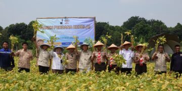Panen Perdana Kedelai di Cibubur, Kwarnas Perkuat Dukungan Swasembada Pangan
