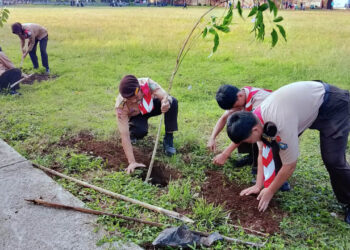 Saka Kalpataru Kwarcab Banyumas dan DLH Kolaborasi Tanam Puluhan Bibit Pohon Tabebuya Peringati Hari Lingkungan Hidup Sedunia 2026