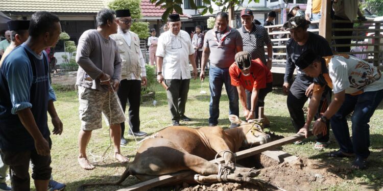 Momen Berbagi Idul Adha di Kwarda Gerakan Pramuka Jambi