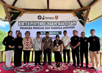 Berikan Keterampilan Teknis, Kwarda Lampung Gelar Bimtek Penyembelihan Hewan Qurban Bagi Pramuka Penegak Dan Pandega