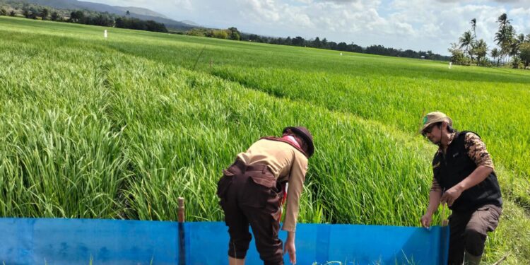 ​Saka Tarunabumi Siap Bawa Teknologi PM-AAS ke “Jantung” Petani melalui Gerakan Pramuka