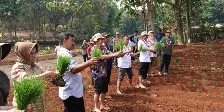 Semangat Swasembada Jamnas XII 2026, Kwarnas Siapkan Edukasi Peserta dengan Penanaman Padi Perdana