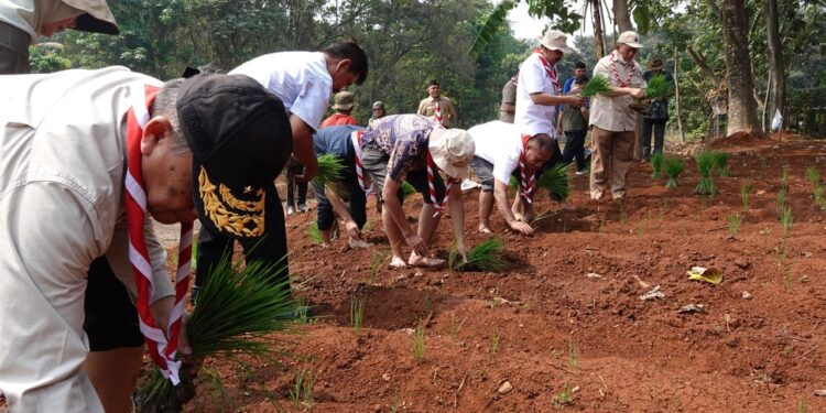 Semangat Swasembada Jamnas XII 2026, Kwarnas Siapkan Edukasi Peserta dengan Penanaman Padi Perdana