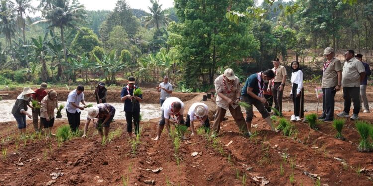 Semangat Swasembada Jamnas XII 2026, Kwarnas Siapkan Edukasi Peserta dengan Penanaman Padi Perdana