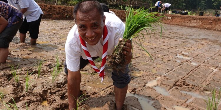 Semangat Swasembada Jamnas XII 2026, Kwarnas Siapkan Edukasi Peserta dengan Penanaman Padi Perdana